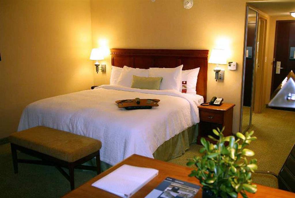 Hampton Inn & Suites Poughkeepsie Spackenkill Værelse billede